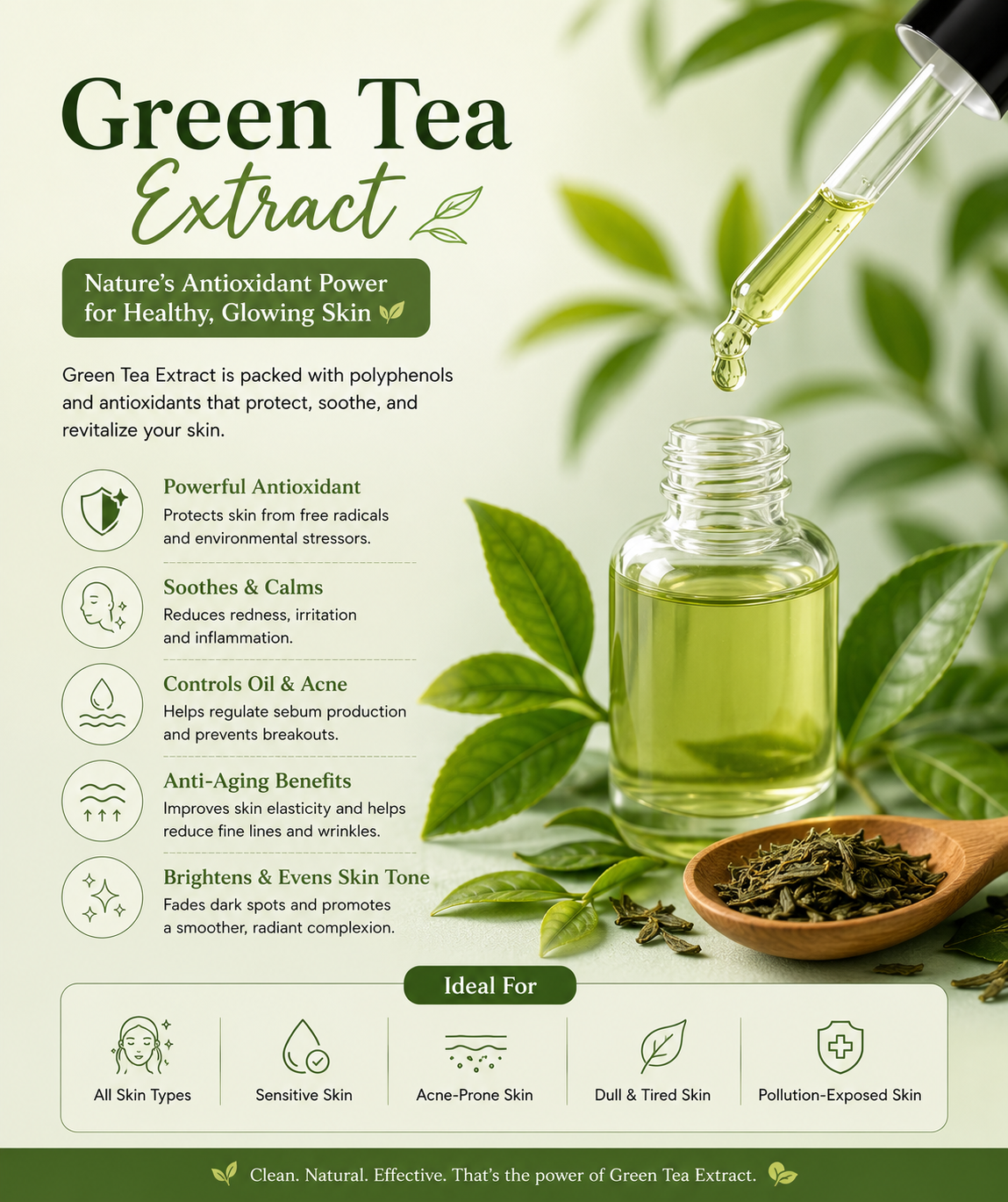 Green Tea Extract